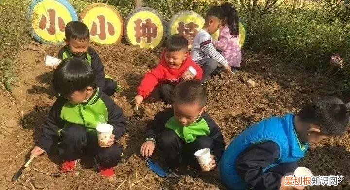 幼儿园家园共育配合事项，「家园共育」这16件事，幼儿园老师需要家长全力配合