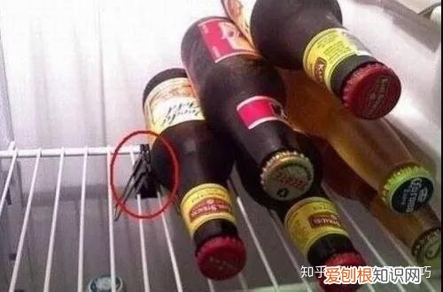 生活中的小窍门儿，50个生活小窍门，你想知道的都在这里！