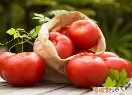 30个最聪明的生活小窍门图片大全，30个最聪明的生活小窍门