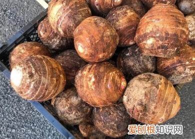 30个最聪明的生活小窍门图片大全，30个最聪明的生活小窍门