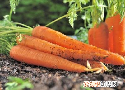 30个最聪明的生活小窍门图片大全，30个最聪明的生活小窍门
