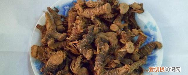 高良姜的功效与作用及禁忌《高良姜的功效与作用及禁忌简单介绍》