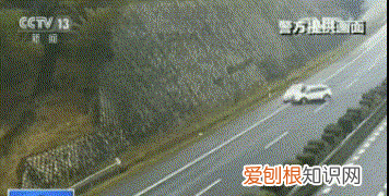 定武高速半挂车事故,沈海高速大型半挂车侧翻