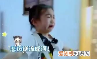 lucky和戚薇分别哭到心碎,5岁的lucky互动一旁戚薇笑哭了