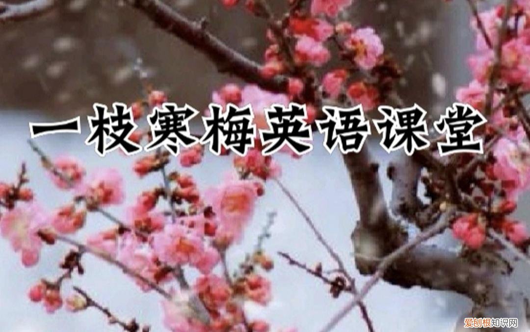仁爱英语八年级上册各个单元重点，仁爱版｜八年级英语上册各单元重要知识点汇总：期末复习必备！