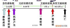 女性和男性哪个更容易感染艾滋病 男性和女性哪个容易感染艾滋病《艾滋病有什么体现吗》