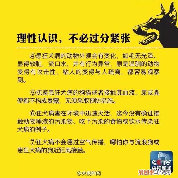 被小奶猫咬了一口,被小猫咬了一个小眼儿,被小猫咬了一个小口有点血