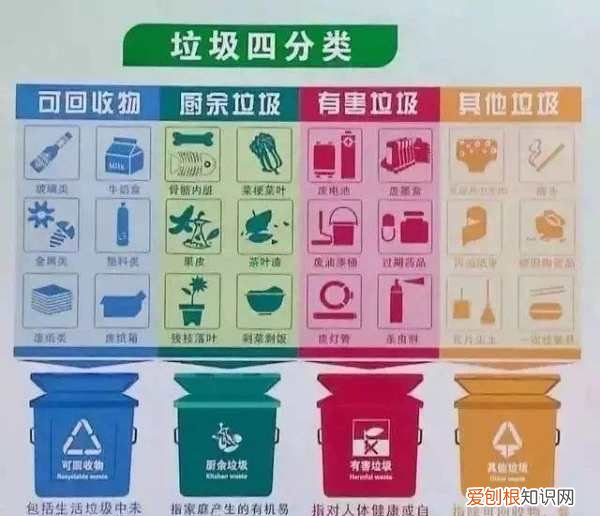 鲜花属于厨余垃圾，水培植物和鲜花属于什么垃圾