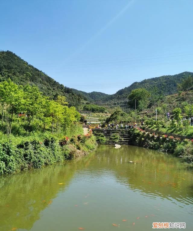 永春网红打卡旅游景点在哪里
