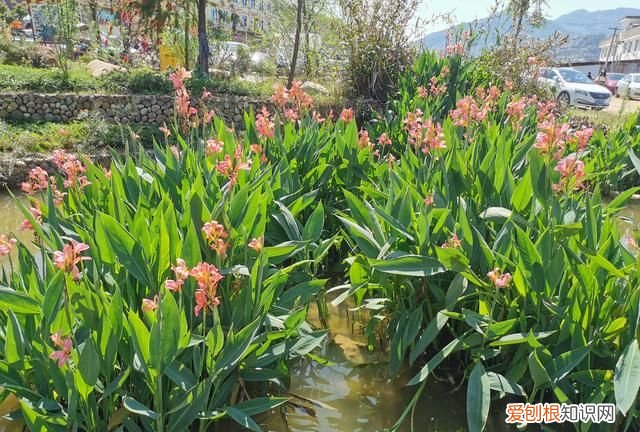 永春网红打卡旅游景点在哪里