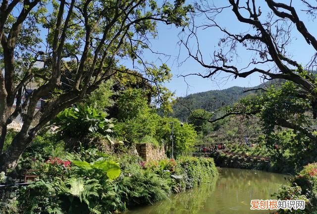 永春网红打卡旅游景点在哪里