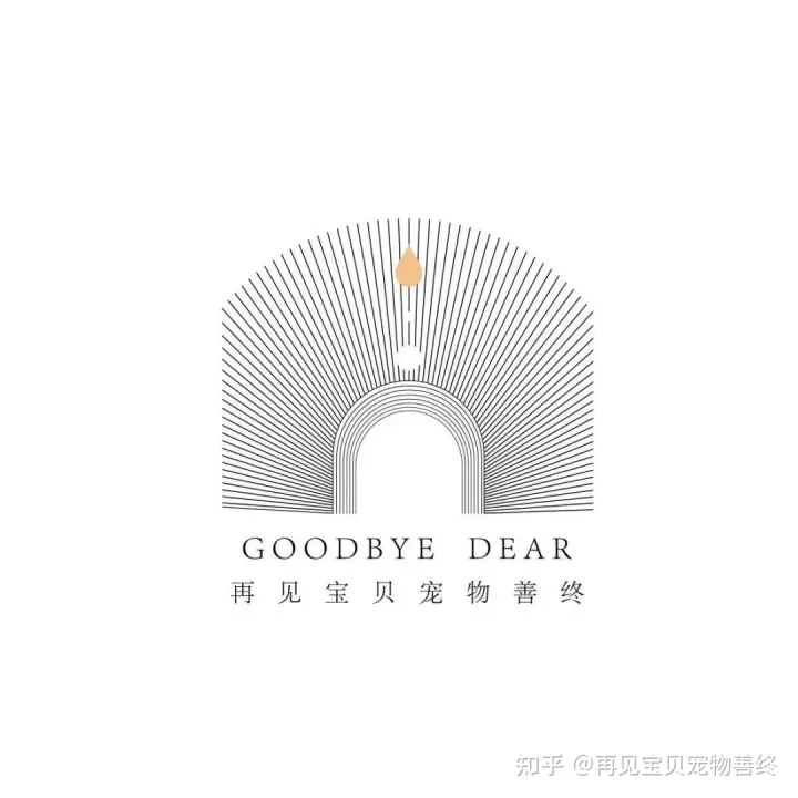 宠物兔容易得什么病，宠物兔兔最容易得的几种疾病｜新手如何养好兔子｜再见宝贝高端宠物善终连锁