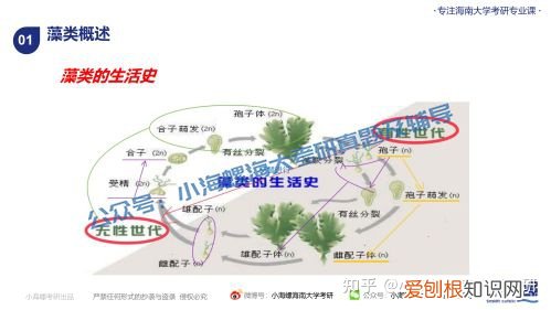 宁波大学渔业发展真题答案，海南大学考研|海南大学23渔业发展340&831真题解读来啦！