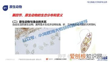 宁波大学渔业发展真题答案，海南大学考研|海南大学23渔业发展340&831真题解读来啦！