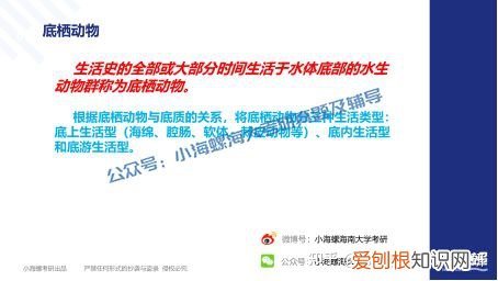 宁波大学渔业发展真题答案，海南大学考研|海南大学23渔业发展340&831真题解读来啦！
