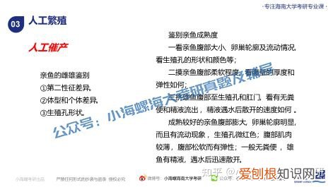 宁波大学渔业发展真题答案，海南大学考研|海南大学23渔业发展340&831真题解读来啦！