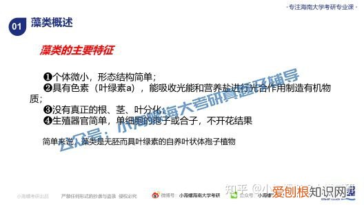 宁波大学渔业发展真题答案，海南大学考研|海南大学23渔业发展340&831真题解读来啦！