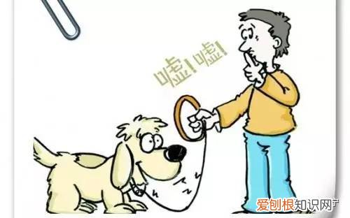文明养狗倡议书300字内容，「文明安宁人」文明饲养宠物 共建美好家园倡议书