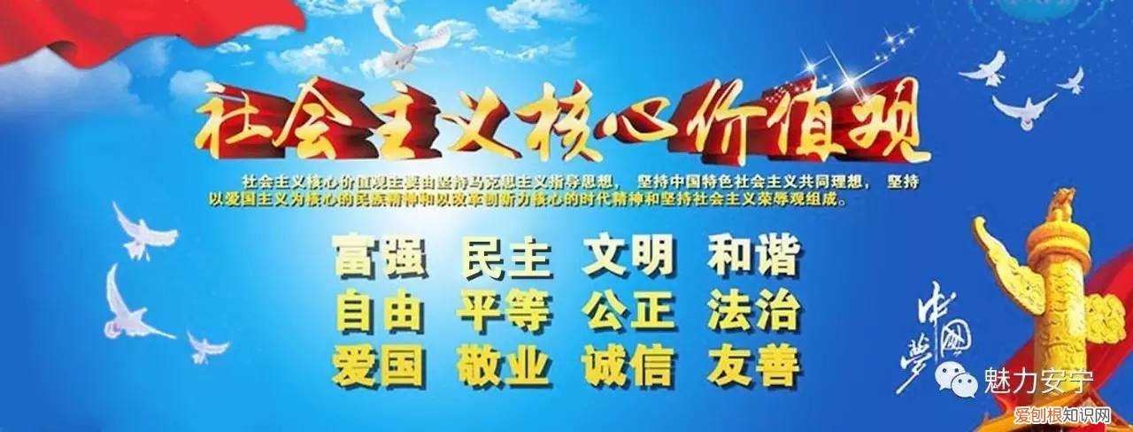 文明养狗倡议书300字内容，「文明安宁人」文明饲养宠物 共建美好家园倡议书