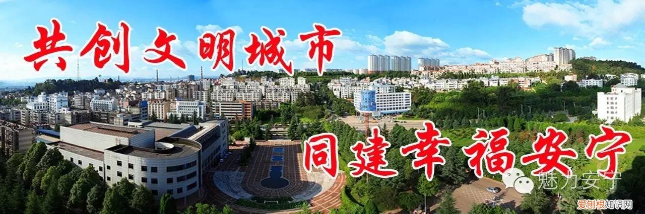 文明养狗倡议书300字内容，「文明安宁人」文明饲养宠物 共建美好家园倡议书