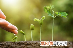梦见自己不小心杀人了怎么回事