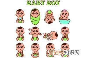 9个月宝宝能吃鹅肉泥吗 ,9个月宝宝能吃鹅肝泥吗