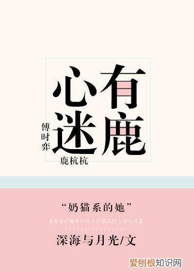 超级甜宠文高质量,非常非常甜甜甜甜甜、宠宠宠宠宠的9部天作之合文