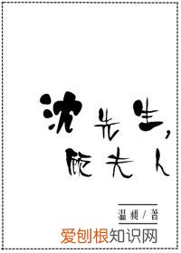 超级甜宠文高质量,非常非常甜甜甜甜甜、宠宠宠宠宠的9部天作之合文