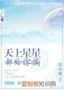 追星娱乐圈小说甜文，推文：4本娱乐圈甜文，天上星星都给你摘~不许你再亲我了~
