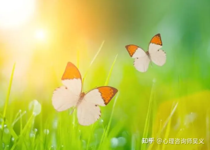 孩子的自信应该这么培养,家长你真的知道吗视频,孩子的自信应该这么培养,家长你真的知道吗?