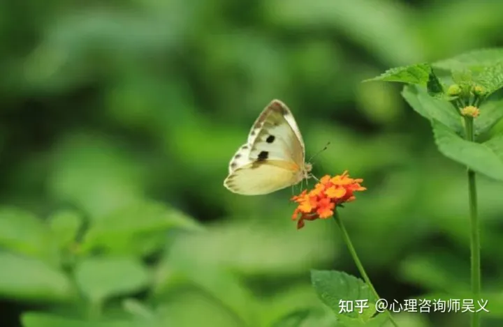 孩子的自信应该这么培养,家长你真的知道吗视频,孩子的自信应该这么培养,家长你真的知道吗?