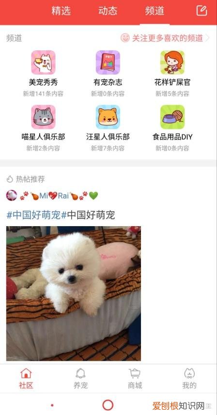 宠物app的市场分析,宠物APP竞品分析