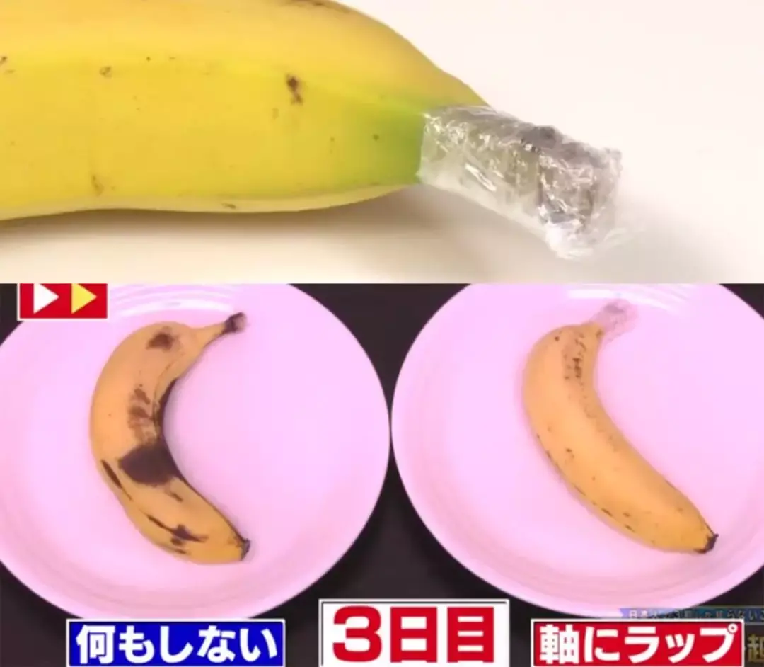生活小妙招!,100条生活小妙招,分分钟打开新世界的大门,百万家庭省钱必备!