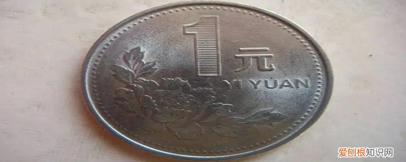 硬币上的花是什么花,像硬币一样的花叫什么花