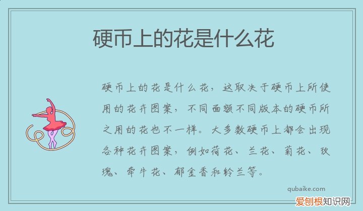 硬币上的花是什么花,像硬币一样的花叫什么花