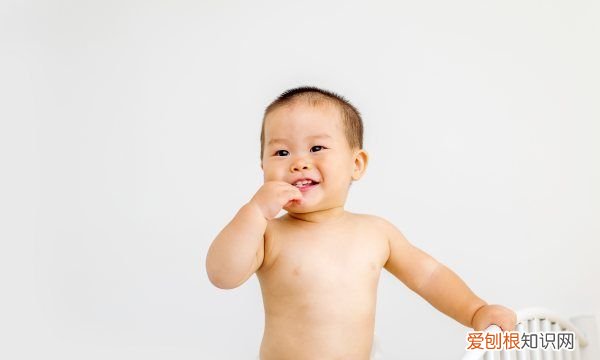 肉松有营养,宝宝不吃肉吃肉松有营养吗