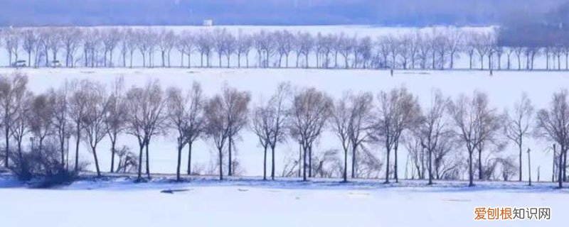 阵雪会有积雪吗,为什么雪下的大却没有积雪