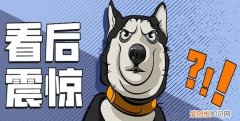 打电话太多手机号被停用怎么办