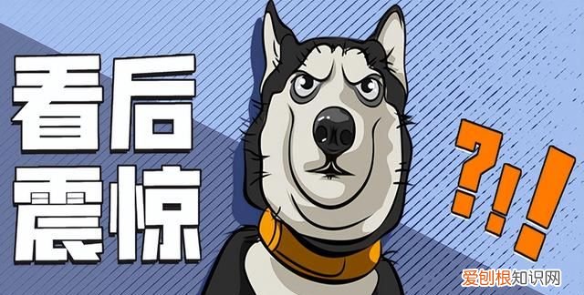 打电话太多手机号被停用怎么办