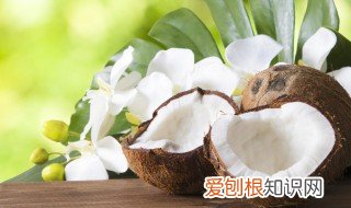 椰子汁是凉性还是热性,椰子肉怎么吃
