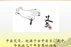 艾灸分为几种，艾灸的种类分为哪几种图片