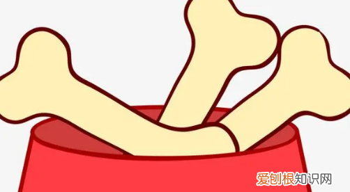 骨头拼音是几声，骨头的拼音怎么写的拼音怎么读