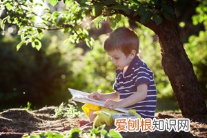 小孩抵抗力差怎么食疗 ，小孩抵抗力差怎么食疗最好