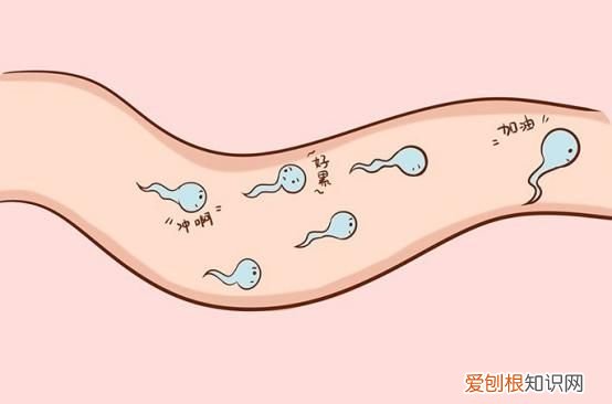 吃一口等于10斤生蚝，男性精子不好，可劲吃，精子一天天变强