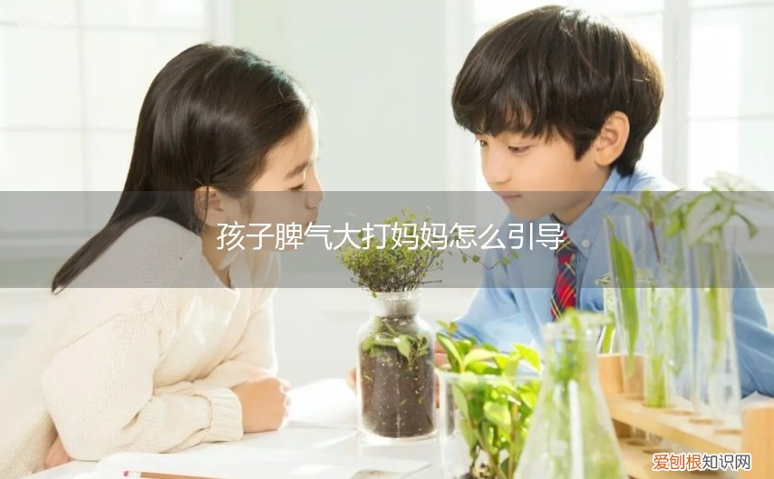 孩子脾气大打妈妈怎么引导,小孩脾气大打妈妈