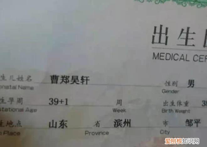 扎堆叫“梓涵”的时代已过去，新的烂大街名字来了，家长别跟风了，告别了梓涵时代