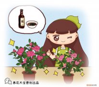 养花经验窍门大全，5个养花窍门，简单又实用，从此摆脱养花杀手称号！