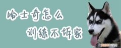 哈士奇怎么训练不拆家，哈士奇怎么训练不拆家视频