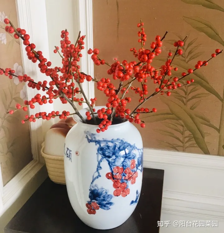 现在什么花开得最旺，10种“旺运花”开花红艳艳，现在养一盆，春节刚好开，红火显富贵
