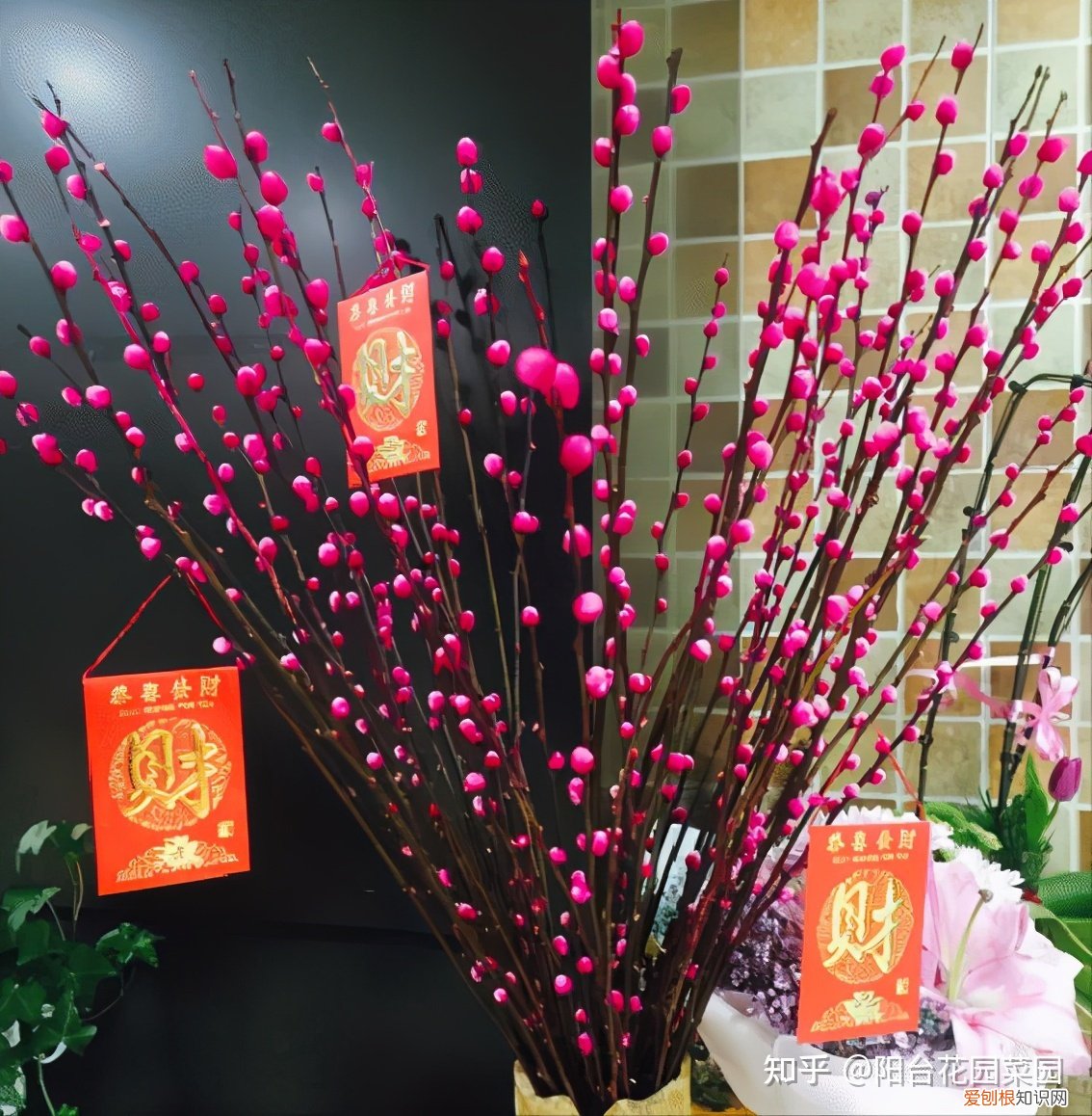 现在什么花开得最旺，10种“旺运花”开花红艳艳，现在养一盆，春节刚好开，红火显富贵